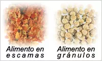 Alimento seco en escamas y gránulos